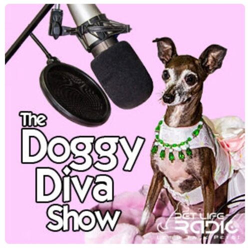 The Doggy Diva Show: Canine Fashion With A Purpose