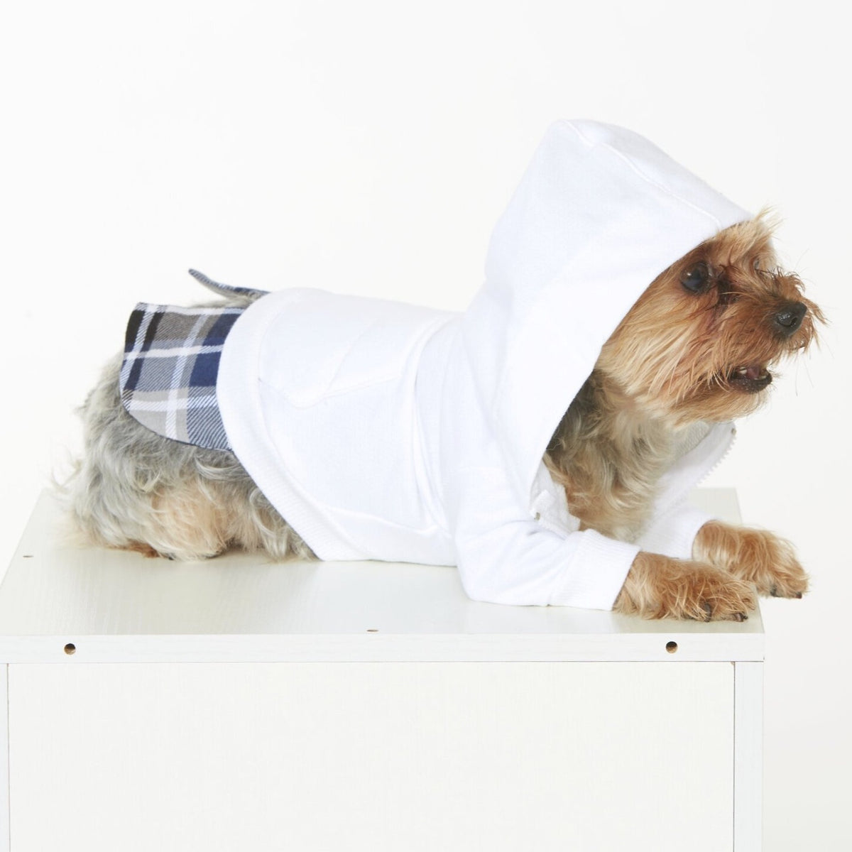White dog hoodie on sale