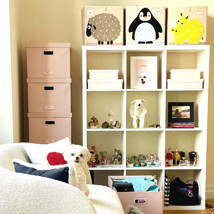 Ways to Help Your Pup Settle Into a New Space